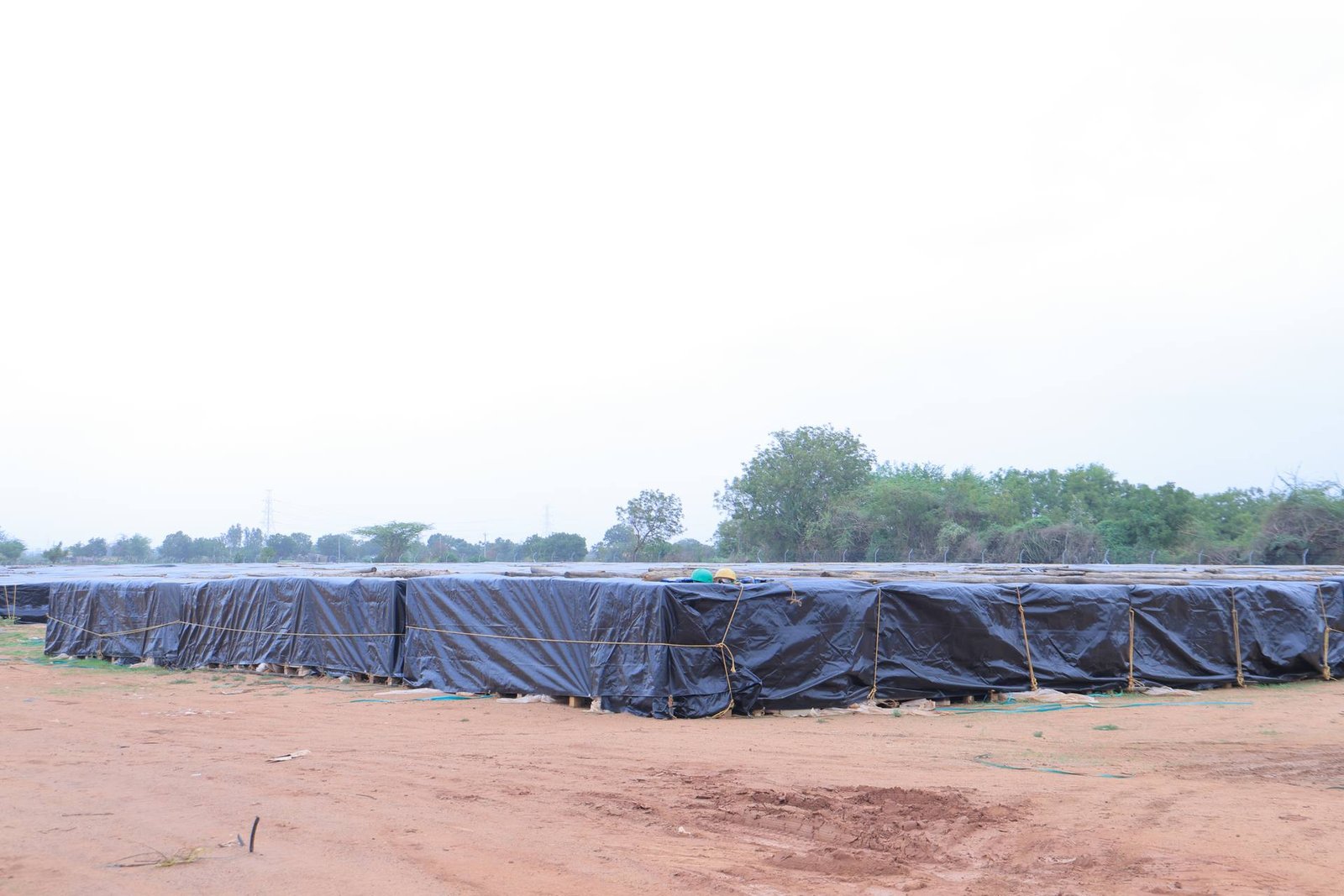 Solar covering stretched over a site