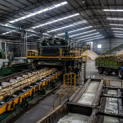 Sugar mill interior with cane feed conveyors and a tractor trailer of cane